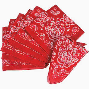 Western Bandana with a Monogram